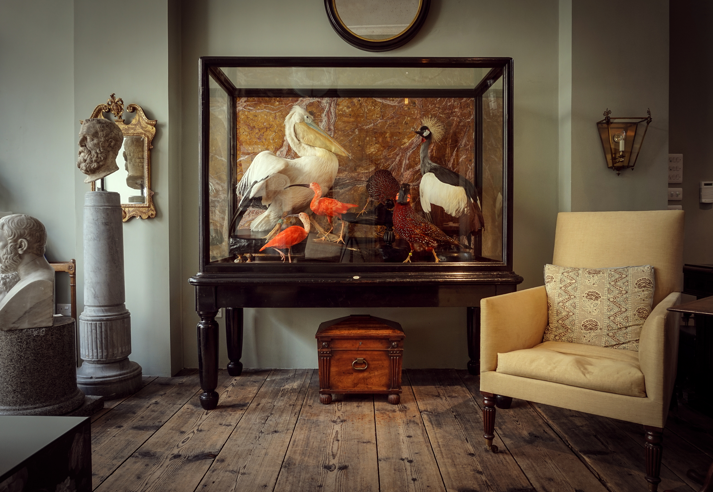 Jamb Taxidermy